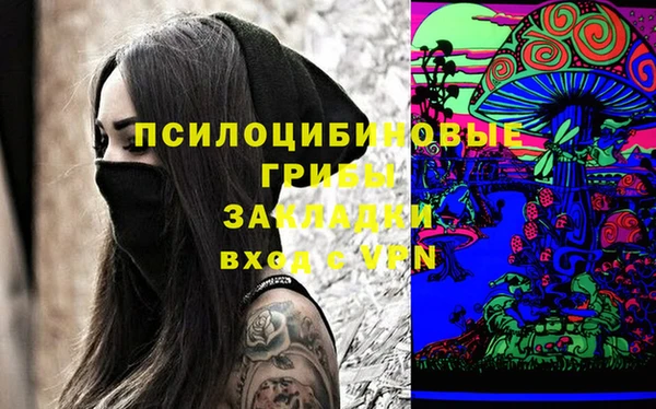 шишки Абдулино
