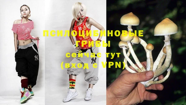 шишки Абдулино