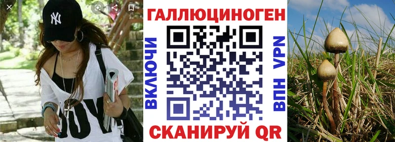 Галлюциногенные грибы ЛСД Химки